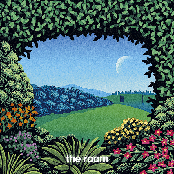 The Room album cover